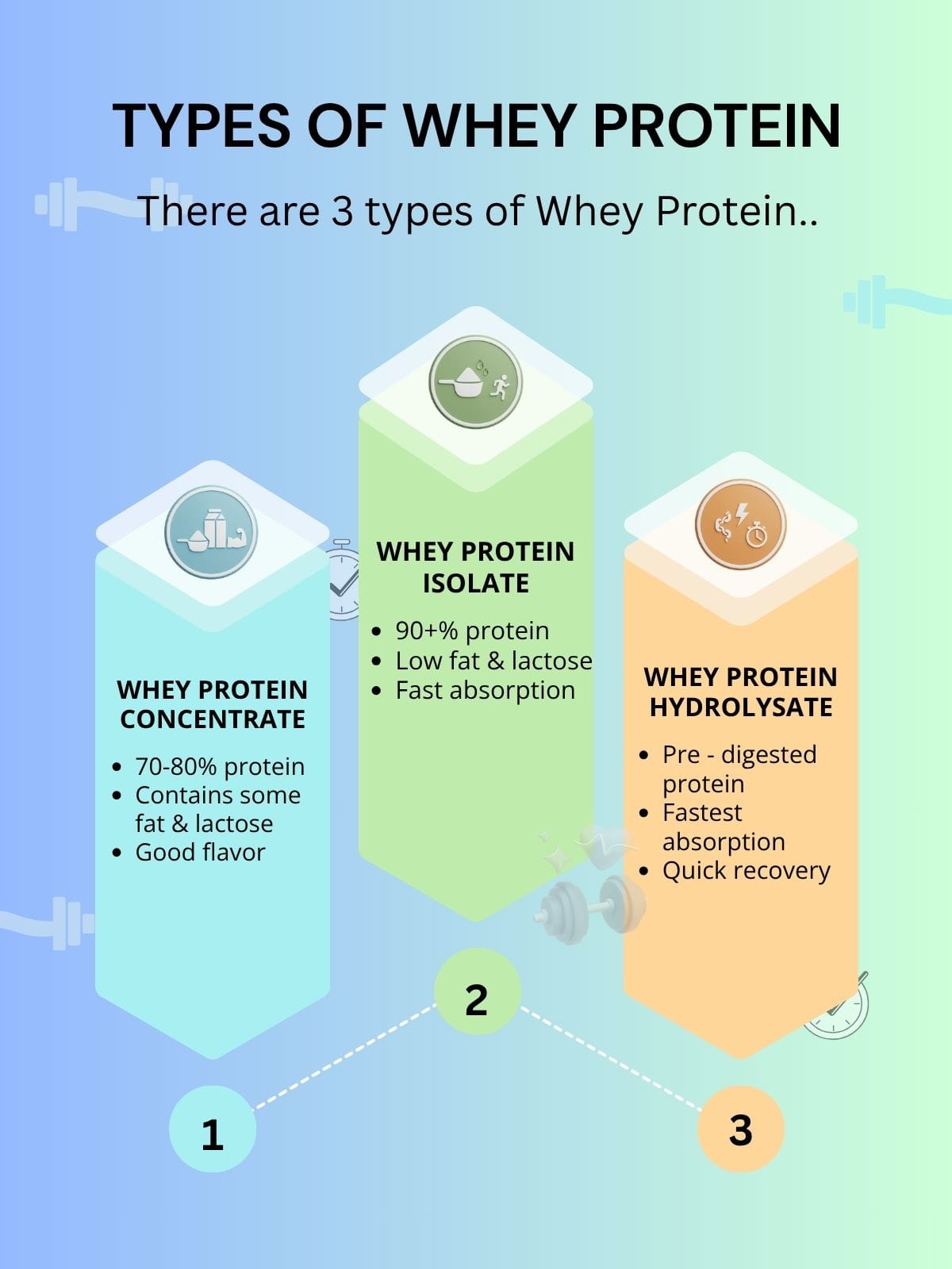 creatine and whey protein